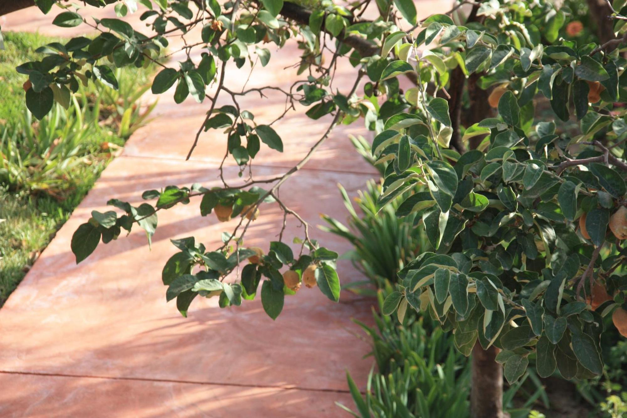 Villa Quince Ouirgane Esterno foto